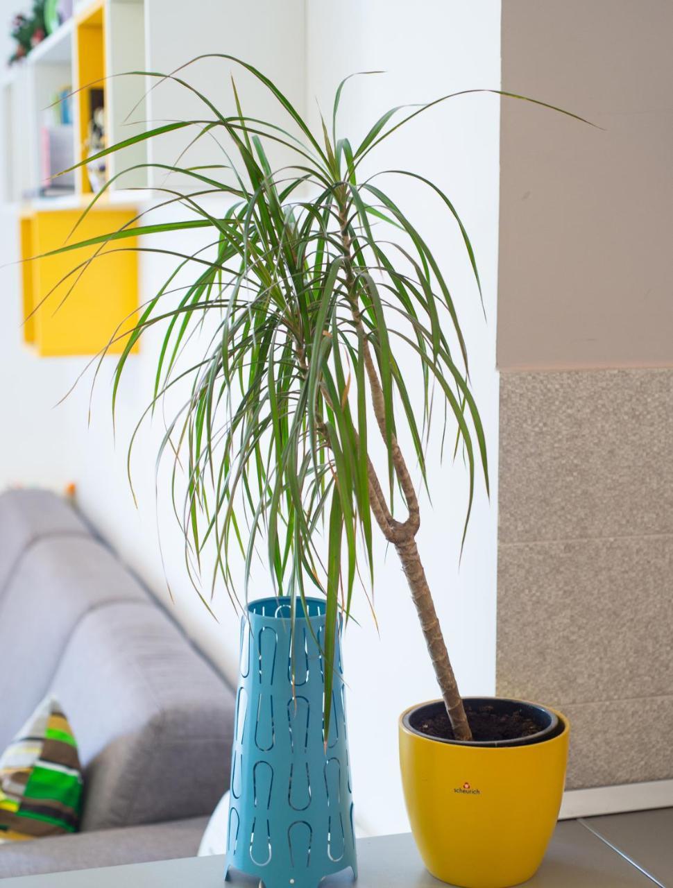 Apartment Lemon Mostar Dış mekan fotoğraf